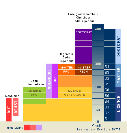 Schéma des études